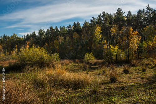 Dried Celestyn Lake in autumn  Celestynow  Poland