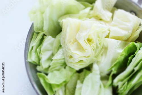  Chopped cabbage on pan for prepared food ingredient 