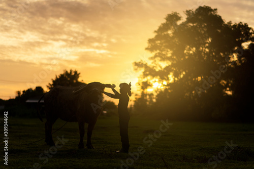 Silhouette plowboy at farm on sunset.