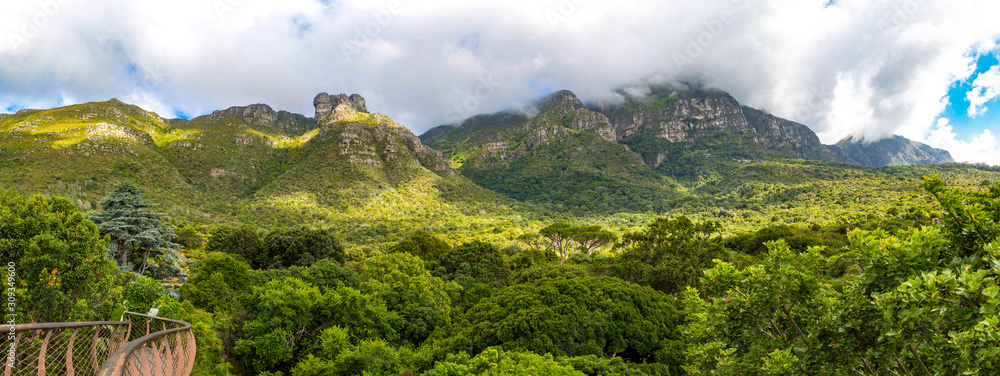 Fototapeta premium Panorama of the east side of table mountain and the forest of the botanical garden Kirstenbosch, treetop path, Cape Town, South Africa