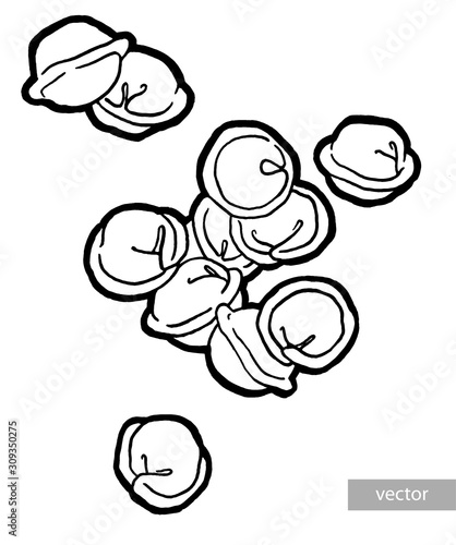 Dumplings in a pot. Ink hand drawing. Food, vegetables and fruit isolated on white background. Book illustration, recipe, menu, magazine or journal article.