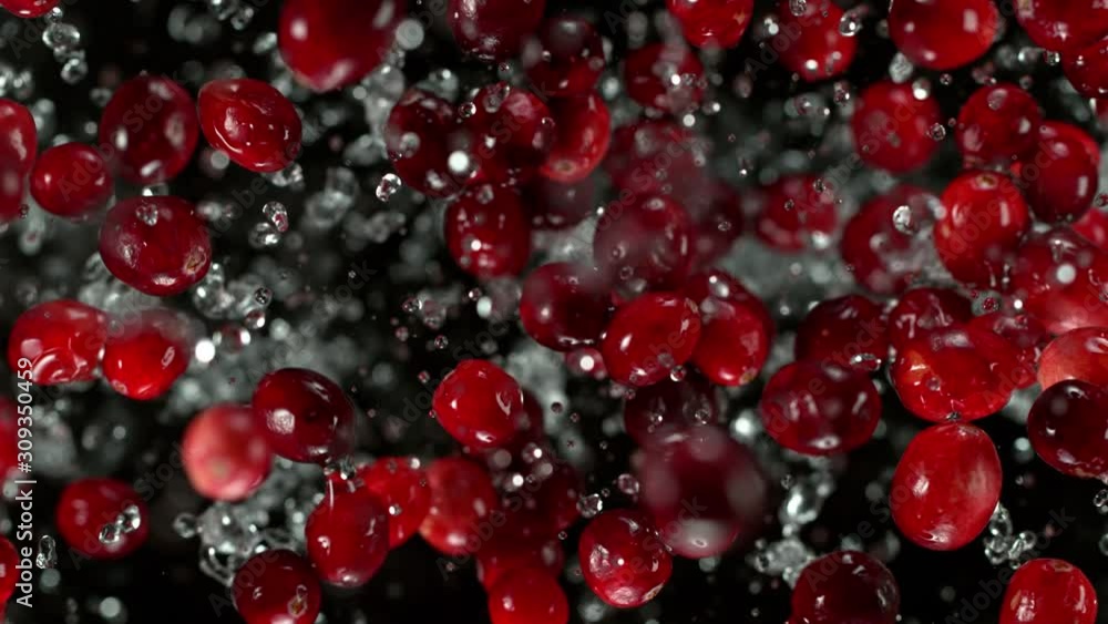 Super Slow Motion Shot of Cranberries and Water Explosion Towards Camera at 1000fps. Super Slow Motion Shot of Cranberries and Water Explosion Towards Camera at 1000fps.