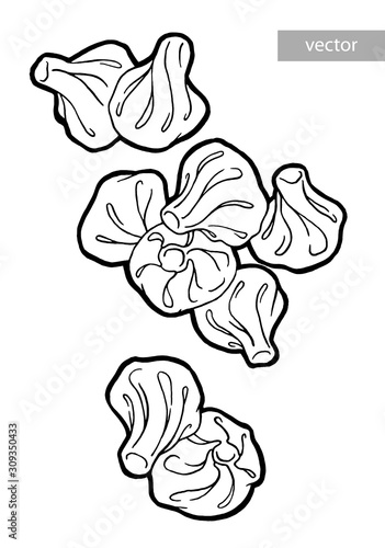 Khinkali, hinkali. Georgian menu cuisine. Ink hand drawing. Food, vegetables and fruit isolated on white background. Book illustration, recipe, menu, magazine or journal article