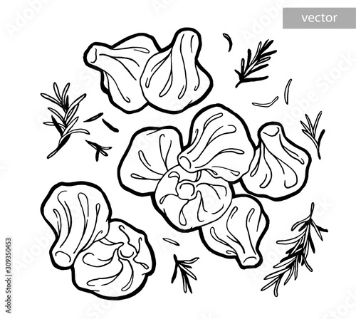 Khinkali, hinkali. Georgian menu cuisine. Ink hand drawing. Food, vegetables and fruit isolated on white background. Book illustration, recipe, menu, magazine or journal article