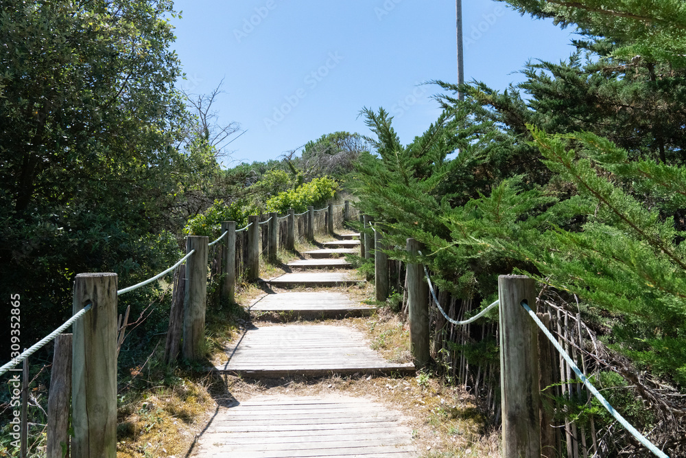 wooden staircase path access to the beach  on a bright summer day in Isle de Noirmoutier in Vendée France