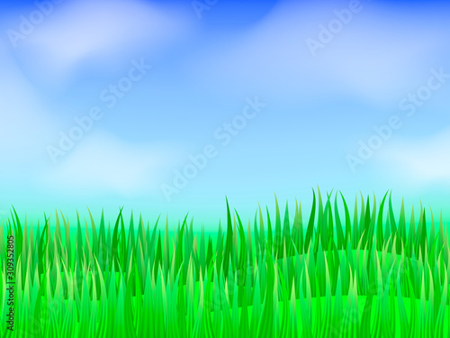 Green grass background. Vector stock illustration for poster or banner