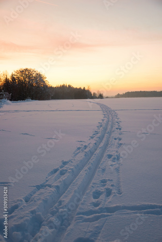 cross-country ski trail on snowy field, winter landscape at sunset