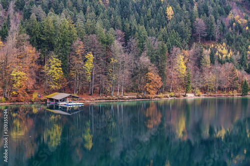 Fototapeta Naklejka Na Ścianę i Meble -  Lake Alpsee in Bavaria with reflection of colorful trees in autumn