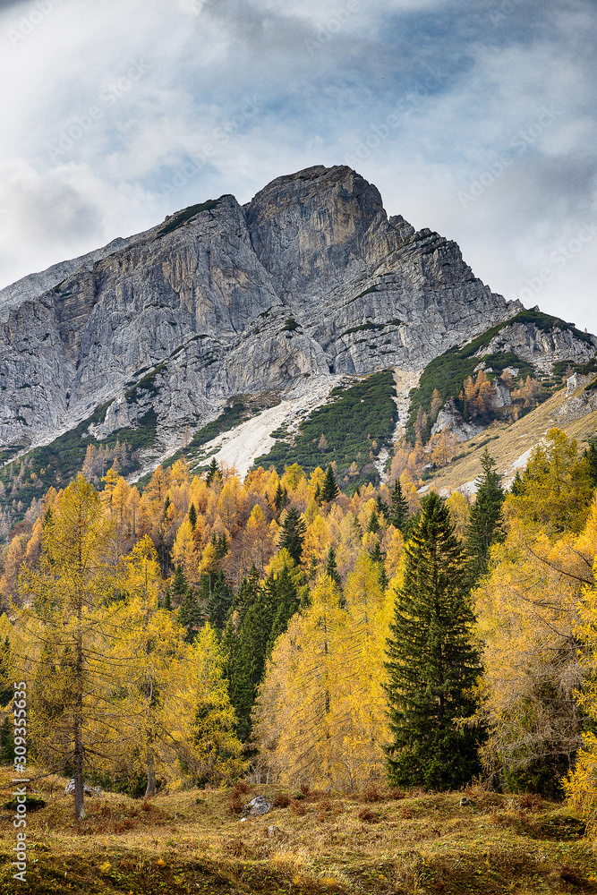 Colorful autumn forest in Slovenian Alps with huge rocky mountains in the background