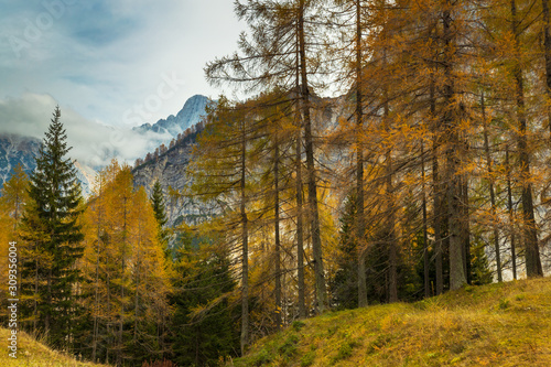 Colorful autumn forest in Slovenian Alps with mountains covered with clouds