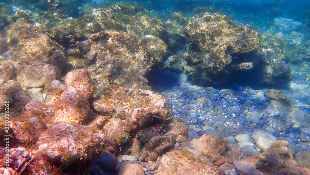 Fototapeta premium Greece Crete island Falassarna Beach