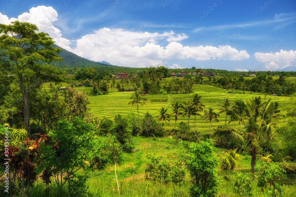 View of Jatiluwih rice terrace, Bali View of Jatiluwih rice terrace, Bali