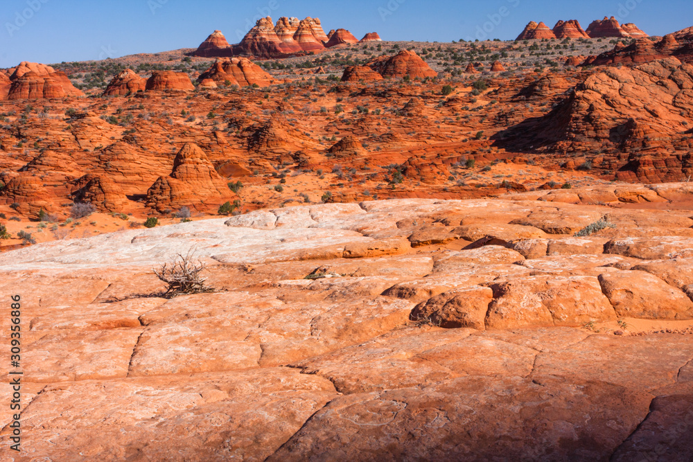 The wildly varied landscape of North Coyote Buttes.
