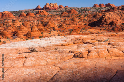 The wildly varied landscape of North Coyote Buttes.