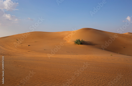 sand texture in the desert of dubai in the evening