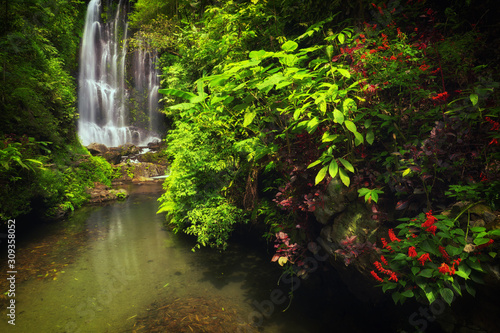 View of Labuhan Kebo Waterfall located in Munduk, Bali photo