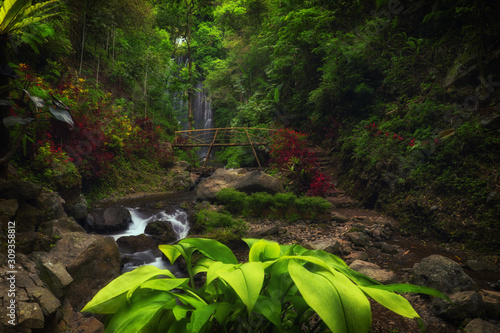View of Labuhan Kebo Waterfall located in Munduk, Bali photo
