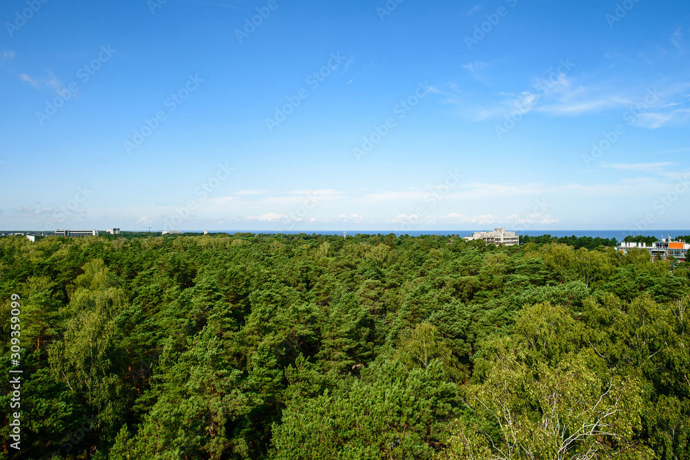 Beautiful view on Baltic sea and pine forest from the observation deck in Dzintari Park, Jurmala, Latvia Beautiful view on Baltic sea and pine forest from the observation deck in Dzintari Park, Jurmala, Latvia