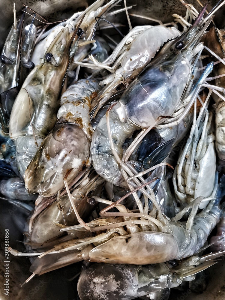 Fototapeta premium Raw shrimps in the pot for made Thai spicy soup. 