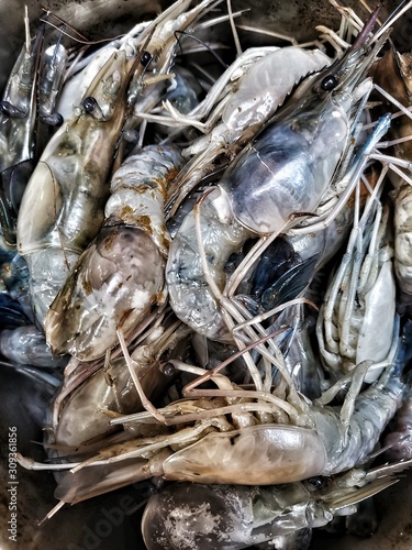 Raw shrimps in the pot for made Thai spicy soup.  photo