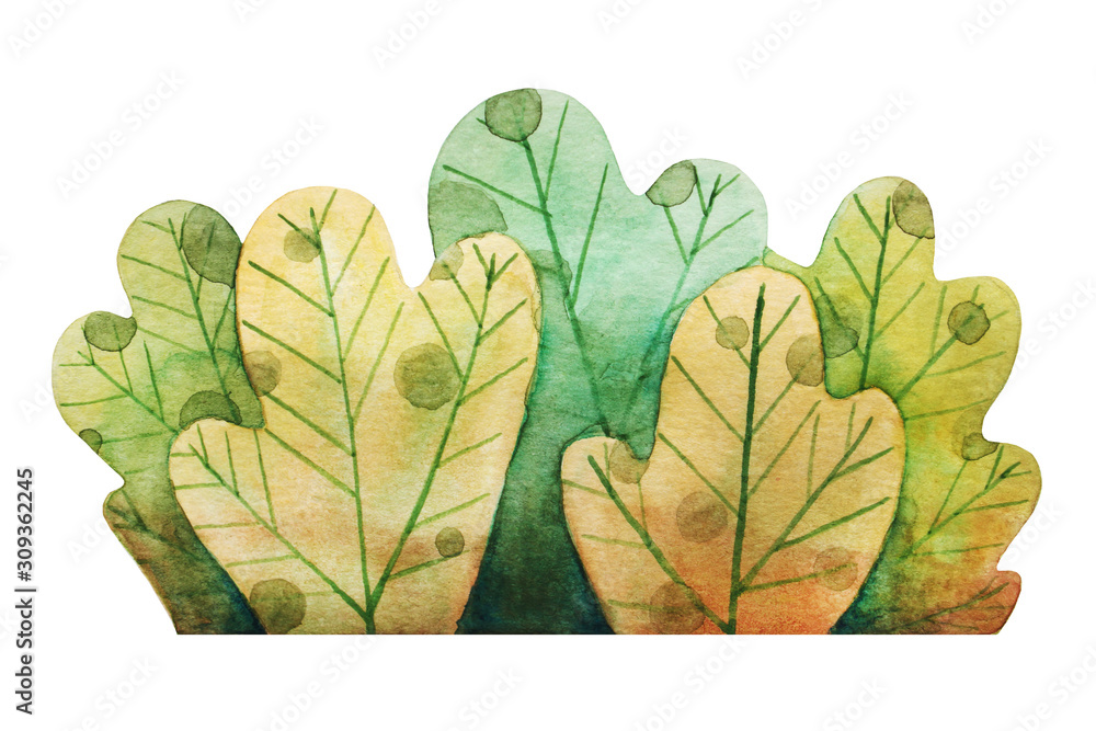 Obraz premium Watercolor cartoon bush illustration. Detailed hand drawn plants