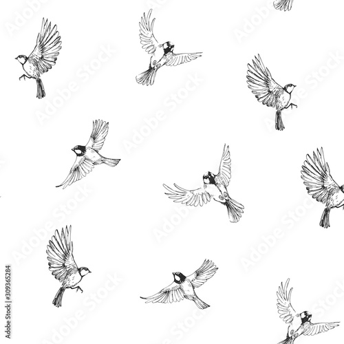 Seamless pattern with flying birds. Titmouse sketch. Outrline with transparent background. Hand drawn illustration converted to vector