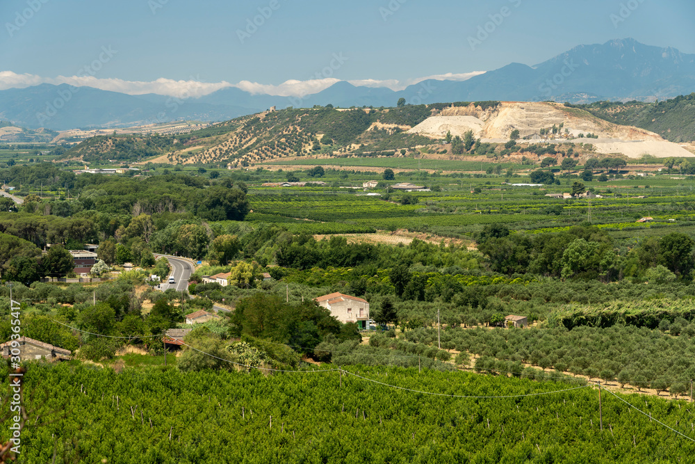 Summer landscape in Calabria, Italy, near Spezzano Albanese