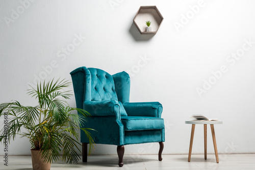 interior of room with elegant velour blue armchair near green plant and coffee table near white wall photo