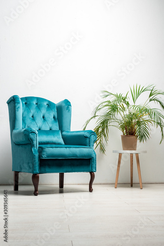 elegant velour blue armchair with pillow near green plant