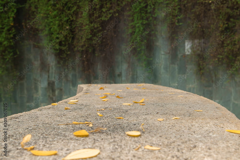 The yellow leaves passed away from the trees on the old cement floor. Behind it is an old green wall and ivy. Is the railing of the stairs The yellow leaves passed away from the trees on the old cement floor. Behind it is an old green wall and ivy. Is the railing of the stairs