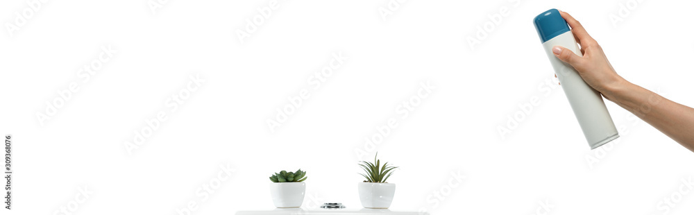 cropped view of woman spraying air freshener near ceramic clean toilet bowl with plants isolated on white, panoramic shot