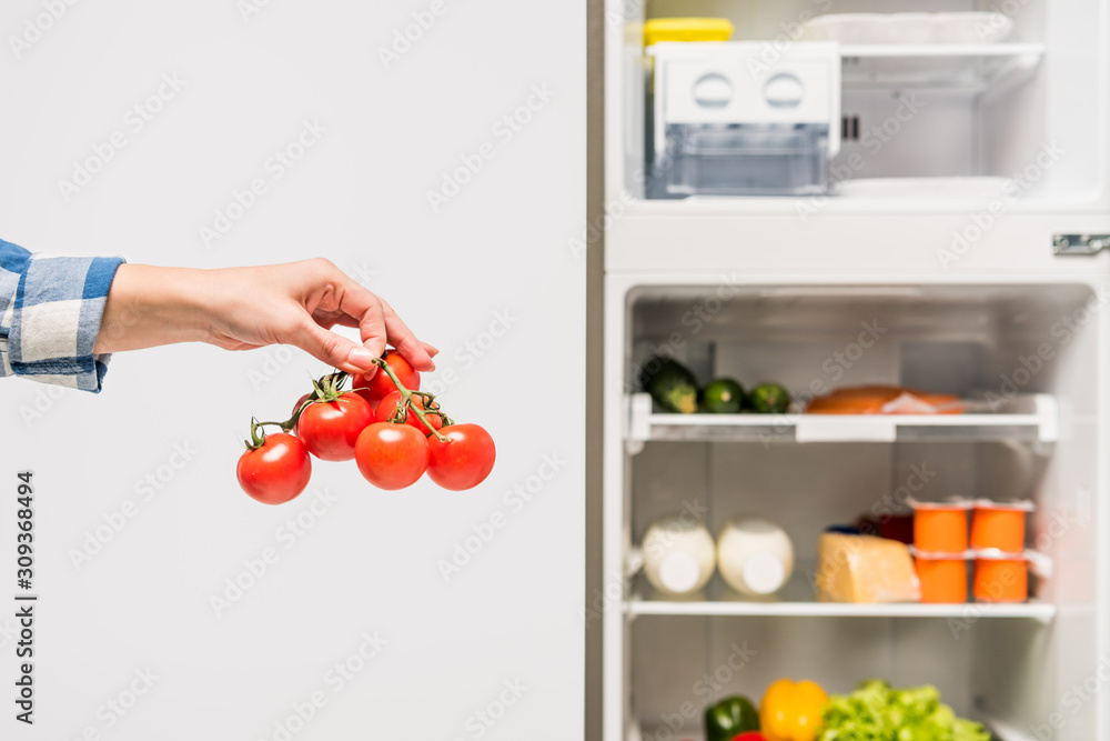 cropped view of woman holding tomatoes near open fridge with fresh food on shelves isolated on white