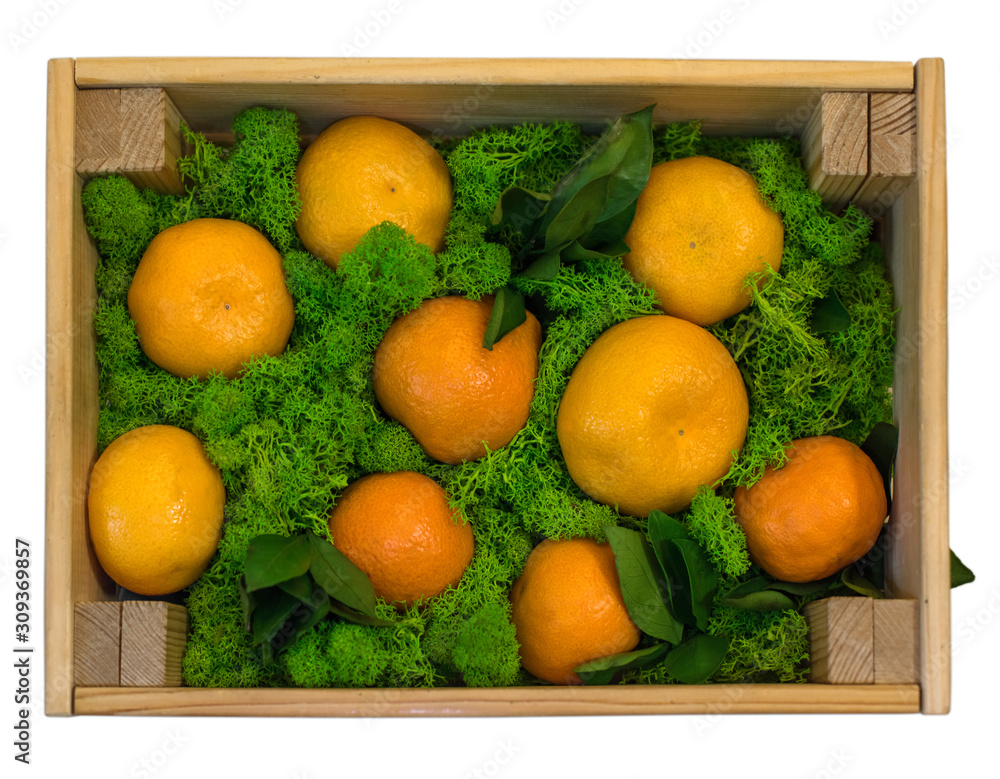 Wooden box with tangerines packed in moss. View from above