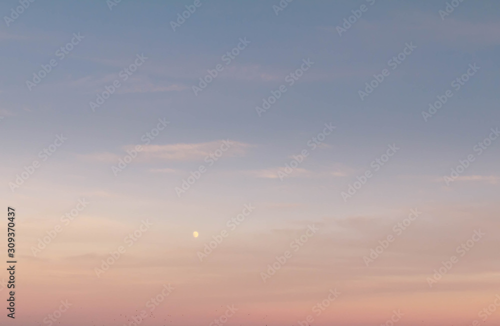 The moon in the sky, pink sunset, background for a photo