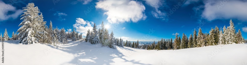Beautiful snow-covered slope with fir trees