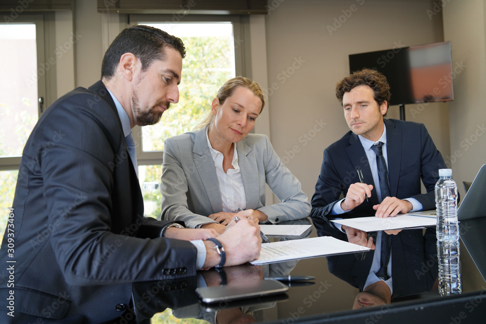 Fototapeta premium Business people attending business meeting