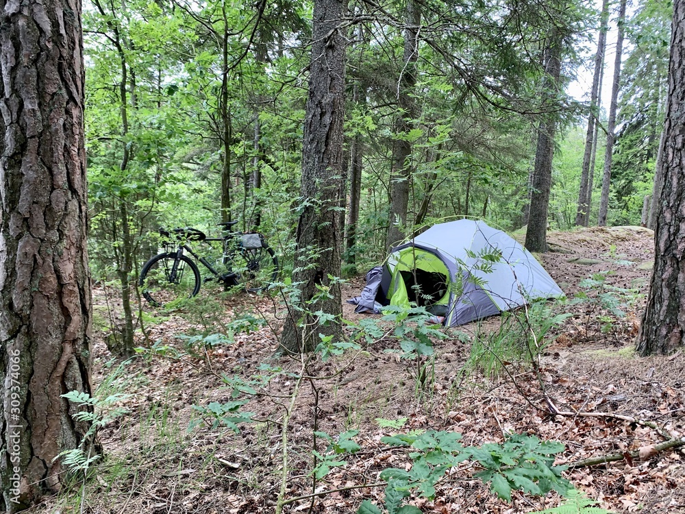 Wild camping in the pin forest, ⁨Lilla Edet⁩, ⁨Västra Götaland⁩, ⁨Sweden⁩  Stock Photo | Adobe Stock