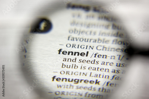 The word or phrase Fennel in a dictionary.