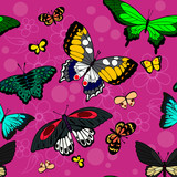 Butterfly seamless pattern. Flying insects background, cute butterflies silhouette icons