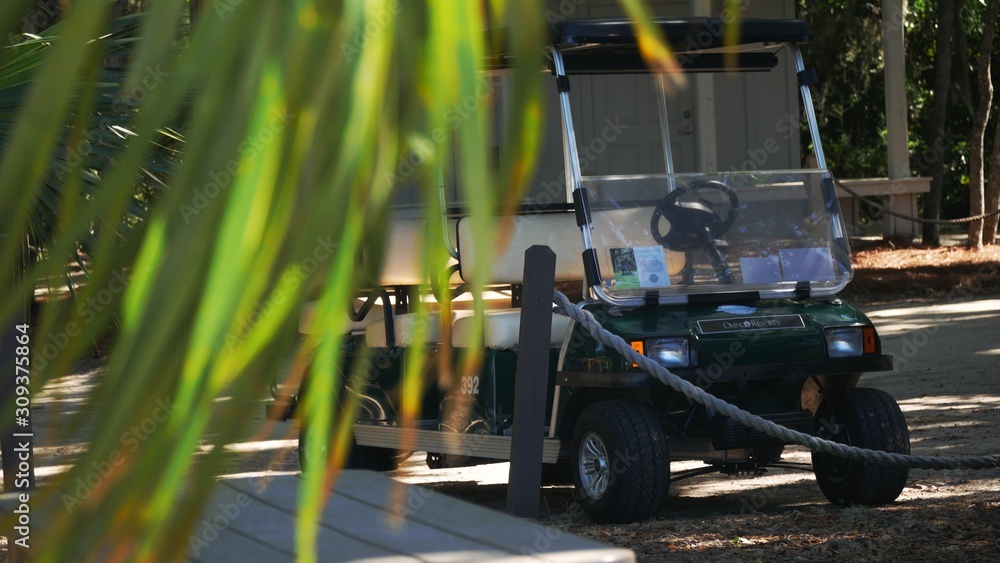 Fototapeta premium golf cart
