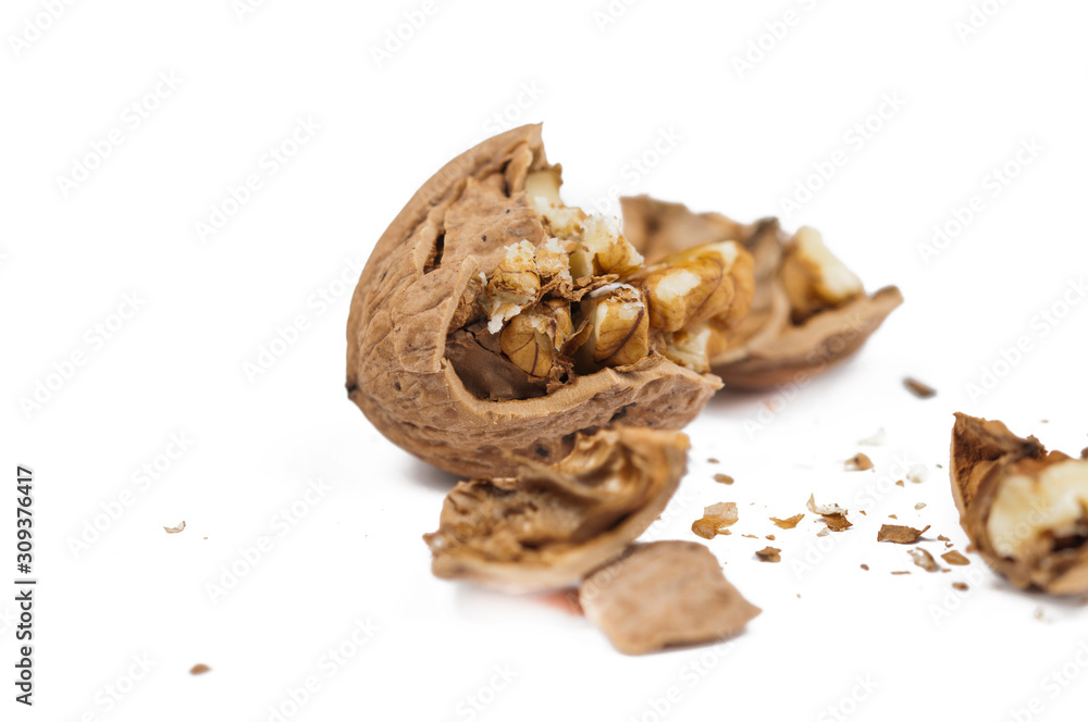 Obraz premium Walnut isolated on white background.Copy space.