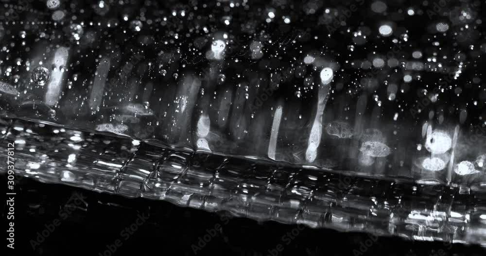 Transparent Gel Substance Flowing and Reflecting Lights Transparent Gel Substance Flowing and Reflecting Lights