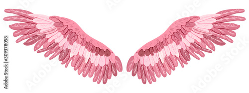 Pink magic beautiful flamingo wings, vector
