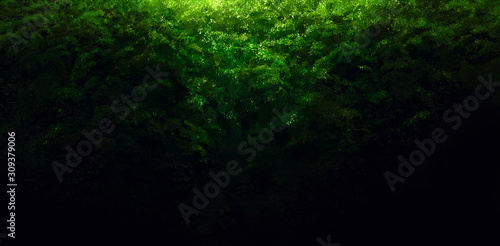 background image of thick green foliage on a dark background