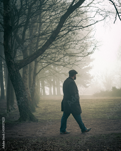 Walk in the misty woods