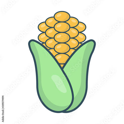 vegetable