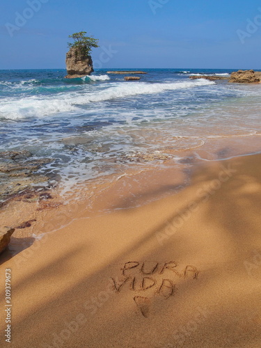 Tropical sea shore with a rocky islet and the words 