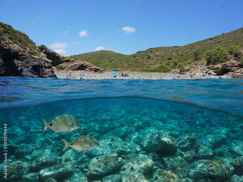 Spain Costa Brava, rocky cove on the Mediterranean coast with fish and rocks underwater, split view over and under sea surface, Catalonia, Cap de Creus, Cala Canadell Spain Costa Brava, rocky cove on the Mediterranean coast with fish and rocks underwater, split view over and under sea surface, Catalonia, Cap de Creus, Cala Canadell