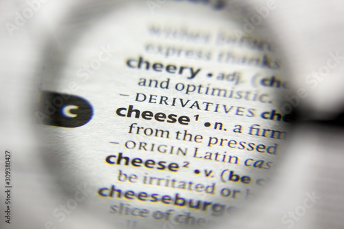 The word or phrase Cheese in a dictionary.