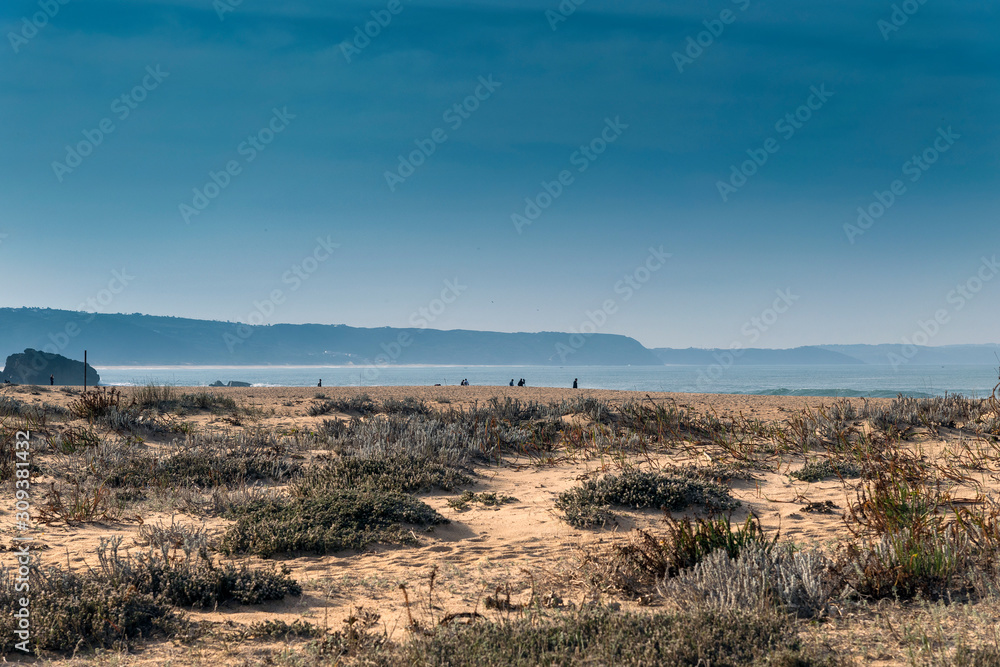 Grass and sand on Nazare North beach, Portugal.
